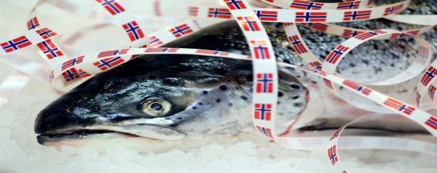 Nytt helsesertifikat for eksport av sjømat til Serbia