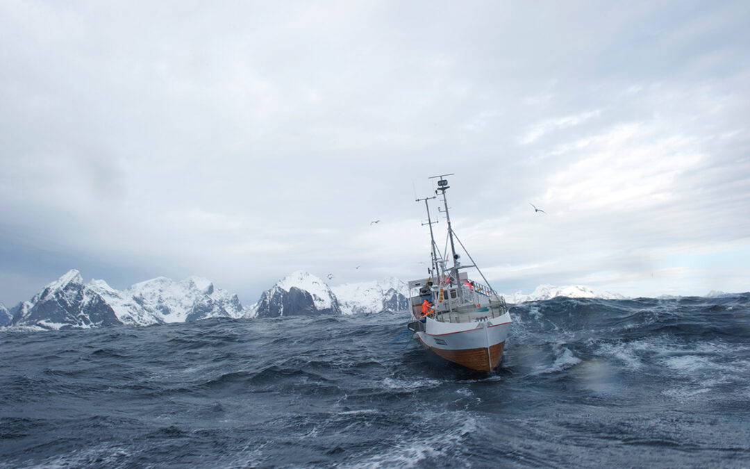 Sjømatbedriftene bidrar i nytt FHF-prosjekt om kystflåten