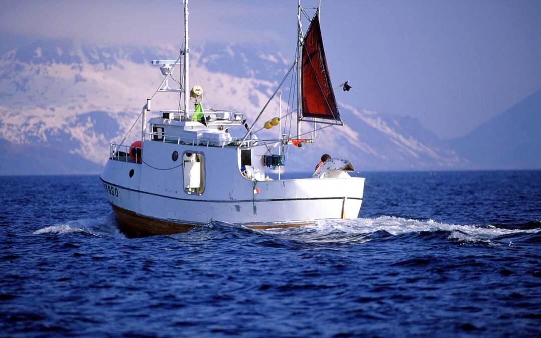 Sjømatbedriftene i møte med fiskeri- og havministeren om vinterfiske i 2022