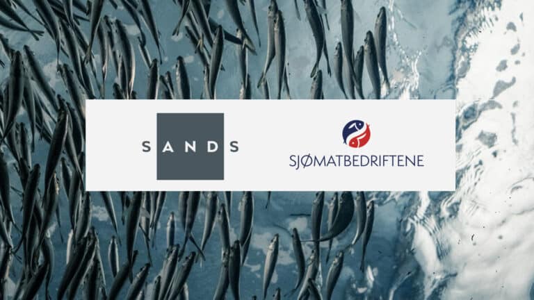WEBINAR 23. april 2025 kl. 13.00-14.00