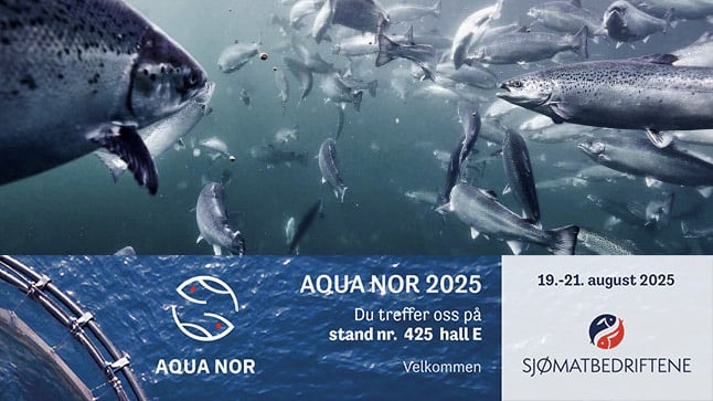 Hvordan kan fiskefôret bli enda mer bærekraftig?