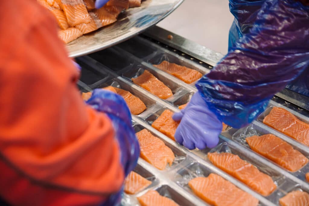 Foto av laks på samlebånd