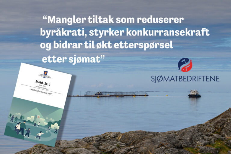 Regjeringen satser på kontroll, men mangler grep som styrker sjømatnæringen